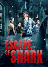 Escape of Shark