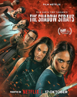 ดูหนัง Netflix The Shadow Strays (2024) นักฆ่าเงาล่าทรชน